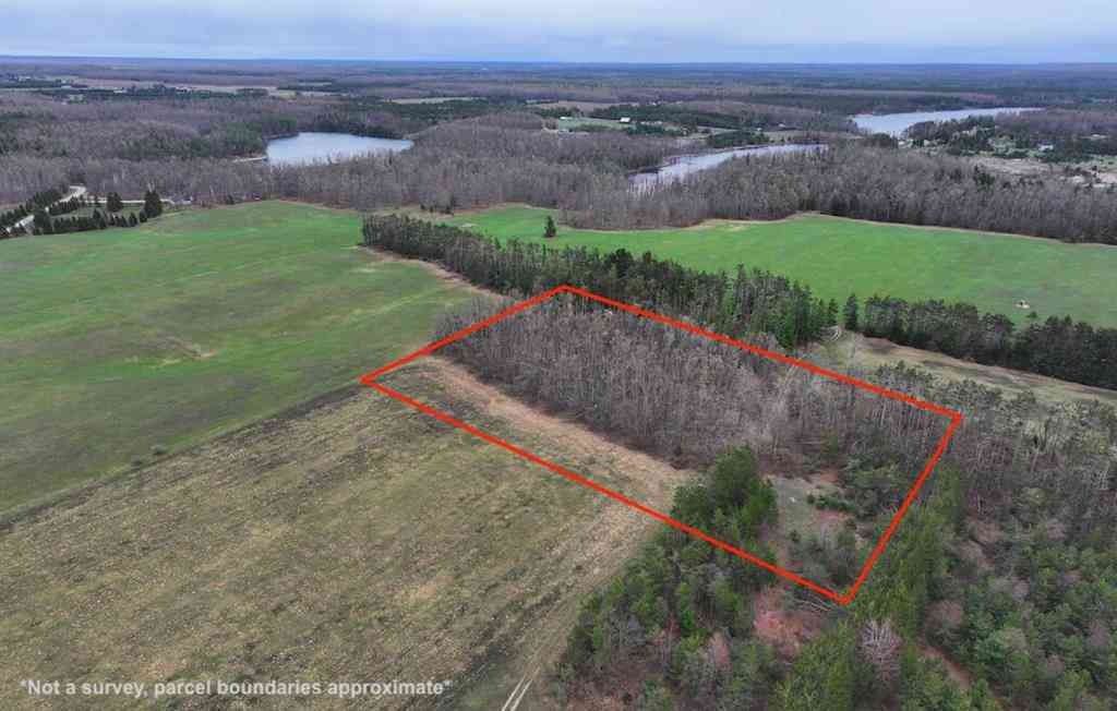 Vacant Land For Sale - PD 4.63A Kassuba Road <br/> Gaylord, MI 49735