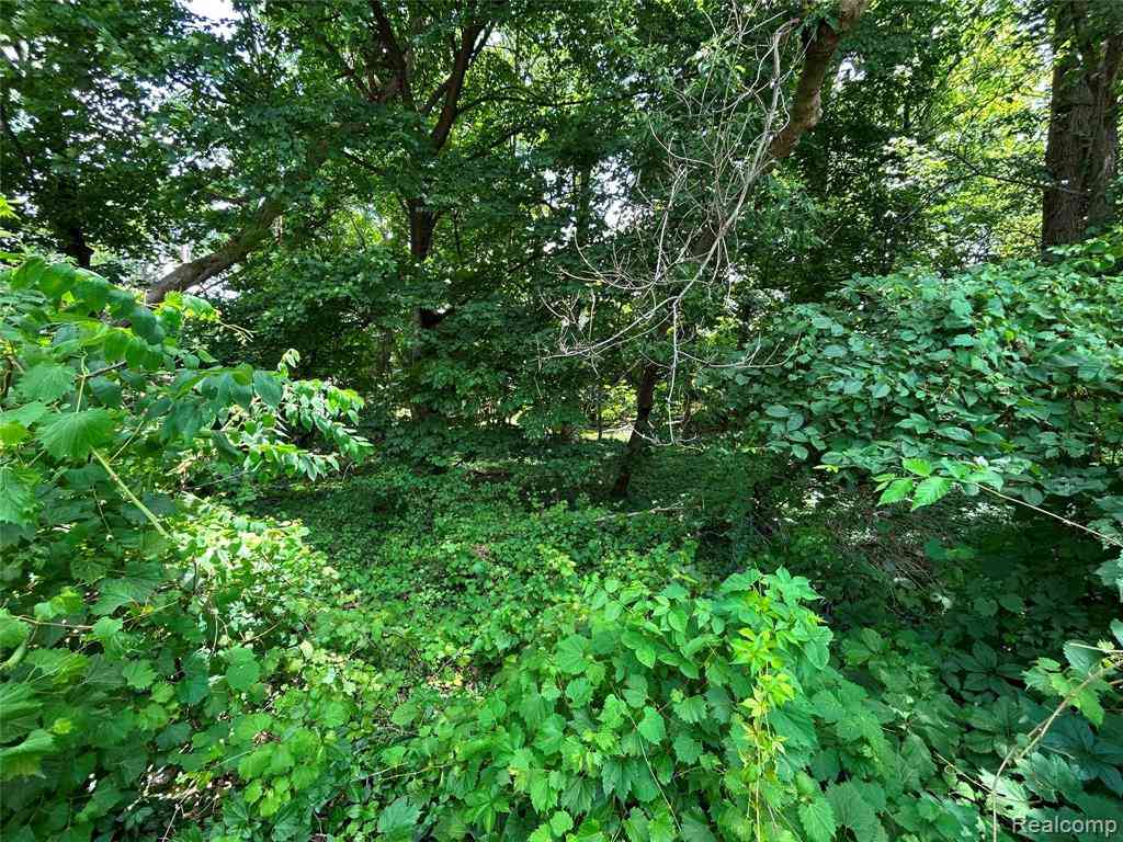 Vacant Land For Sale - 505 S Telegraph Road <br/> Dearborn, MI 48124