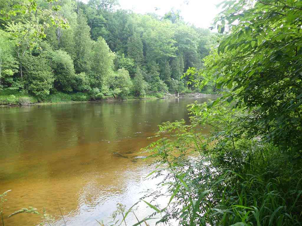 Vacant Land For Sale - 3731 W 100th Street <br/> Newaygo County, Newaygo, MI 49337