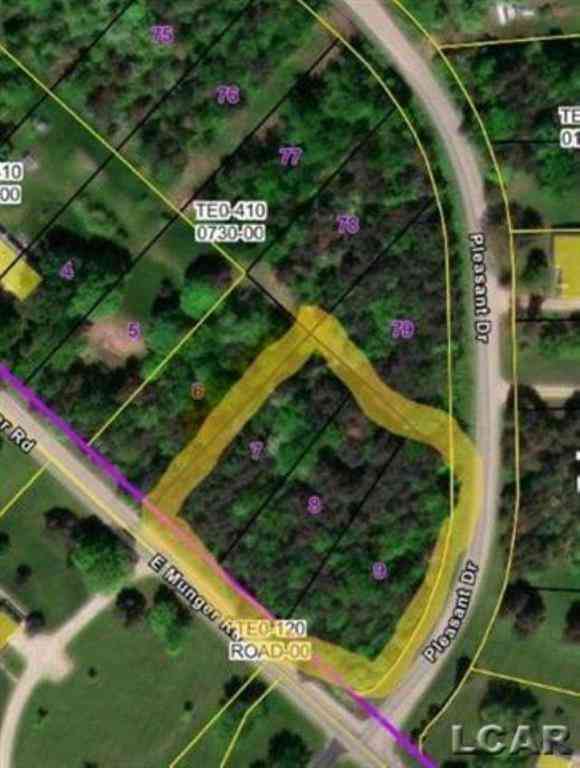 Vacant Land For Sale - 2000 BLK E Munger Road <br/> Tecumseh, MI 49286