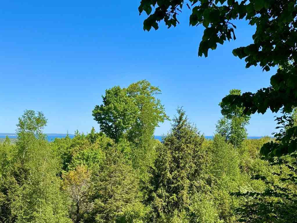 Vacant Land For Sale - LOT 9 W Harbour Ridge <br/> Maple City, MI 49664