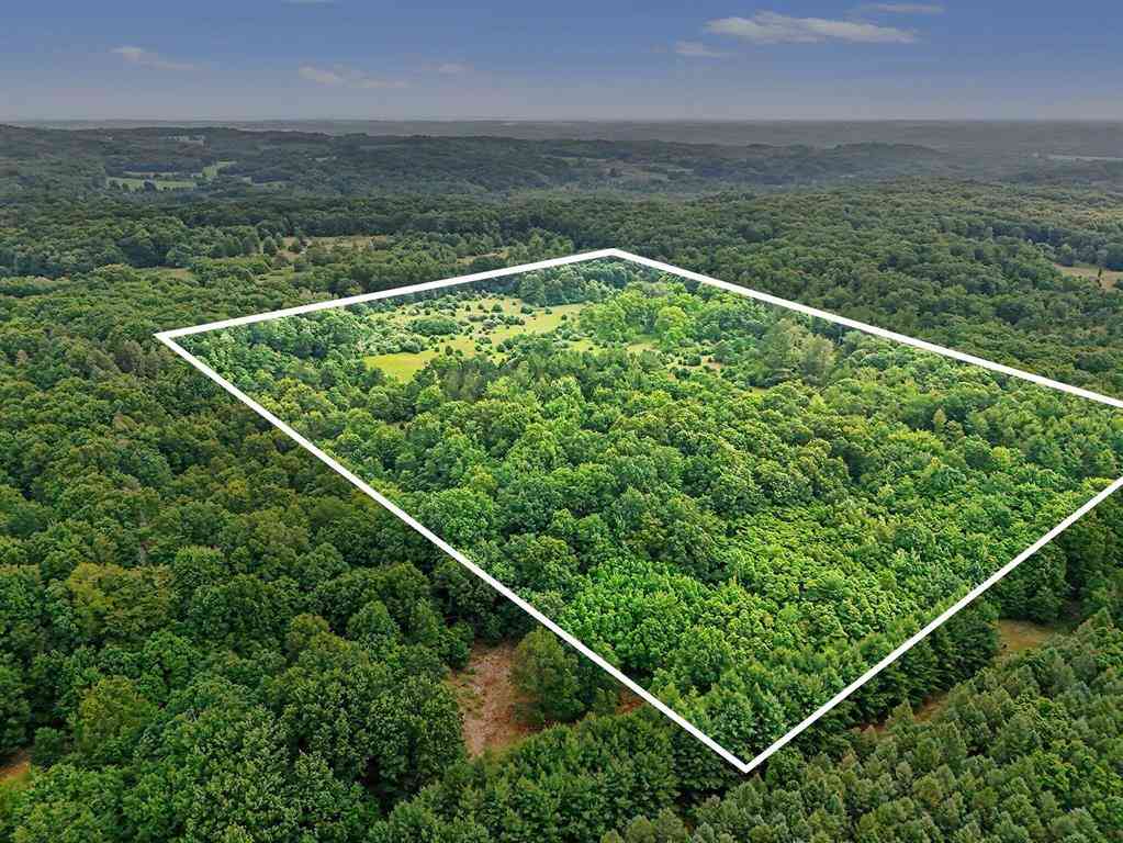 Vacant Land For Sale - 52 W Johnson Road <br/> Oceana County, Shelby, MI 49455