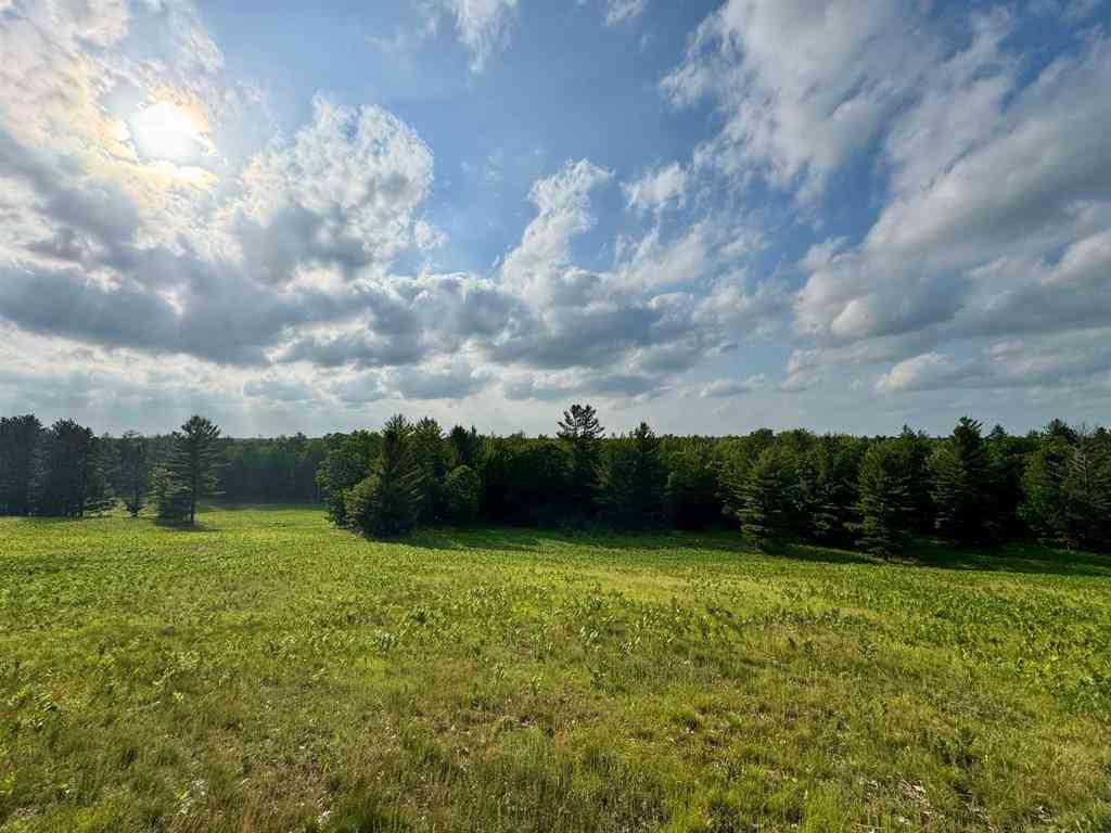 Vacant Land For Sale - 4264 SW Bald Eagles View <br/> South Boardman, MI 49680