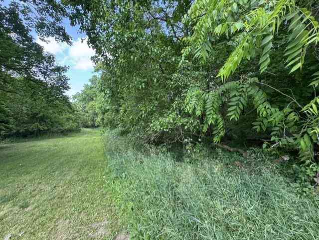 Vacant Land For Sale - TBD N Lincoln  <br/> Stanton, MI 48888