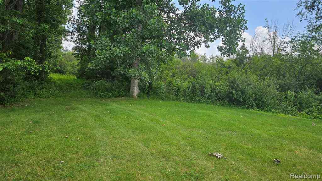 Vacant Land For Sale - 000 Joey Drive <br/> Pinckney, MI 48169