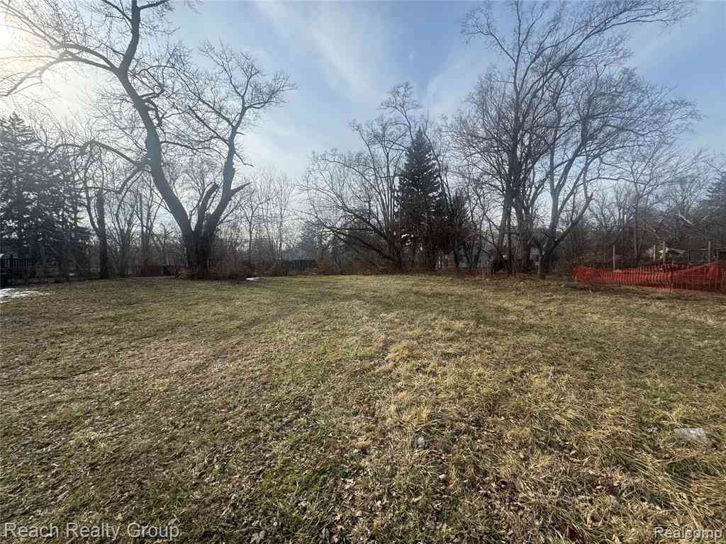 Vacant Land For Sale - 14199 Burt Road <br/> Detroit, MI 48223