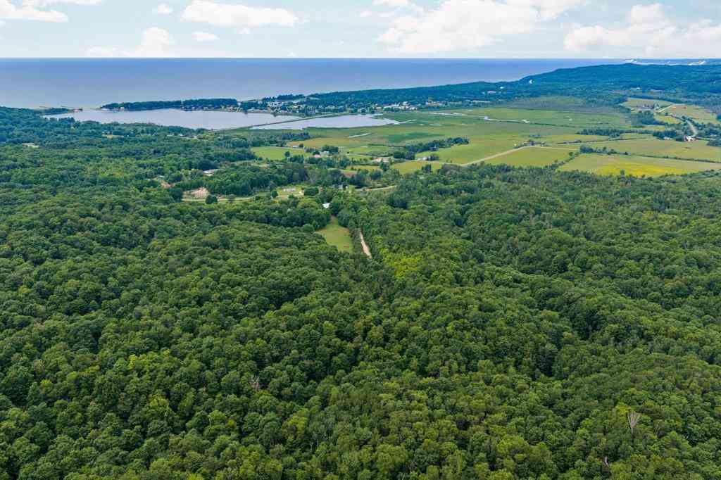 Vacant Land For Sale - 00 Erdman Road <br/> Arcadia, MI 49660