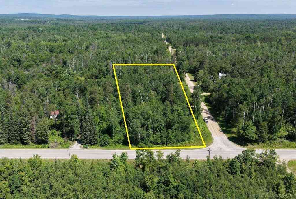 Vacant Land For Sale - TBD Co Rd 489  <br/> Atlanta, MI 49709
