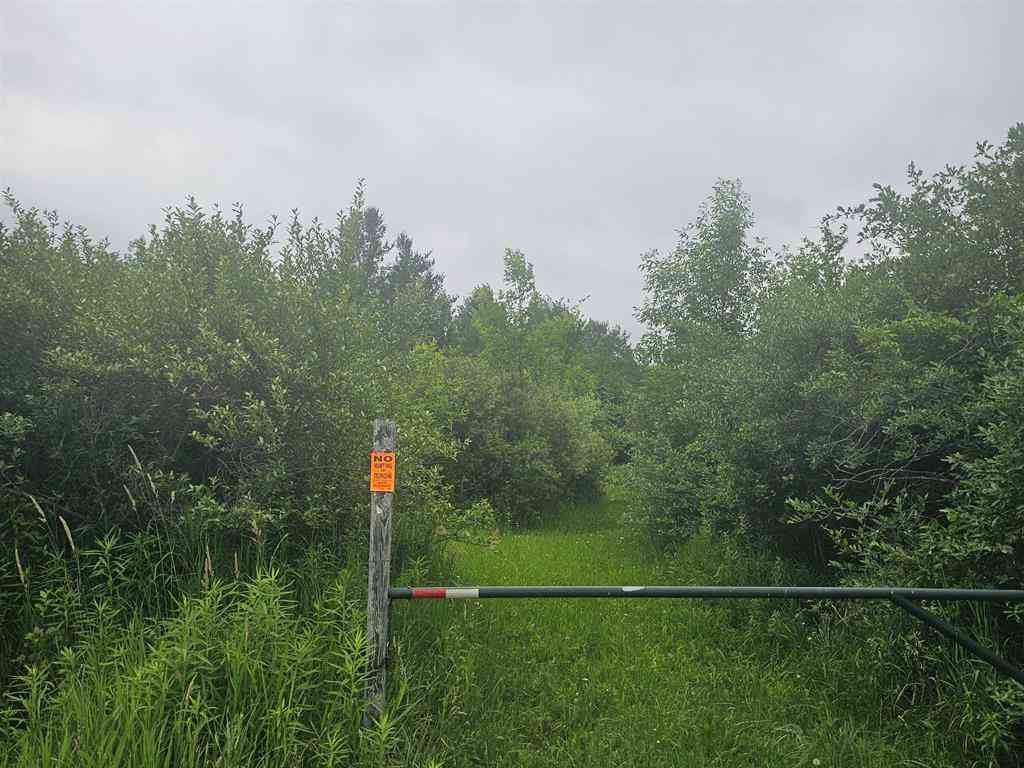 Vacant Land For Sale - Barber Road <br/> Hale, MI 48739