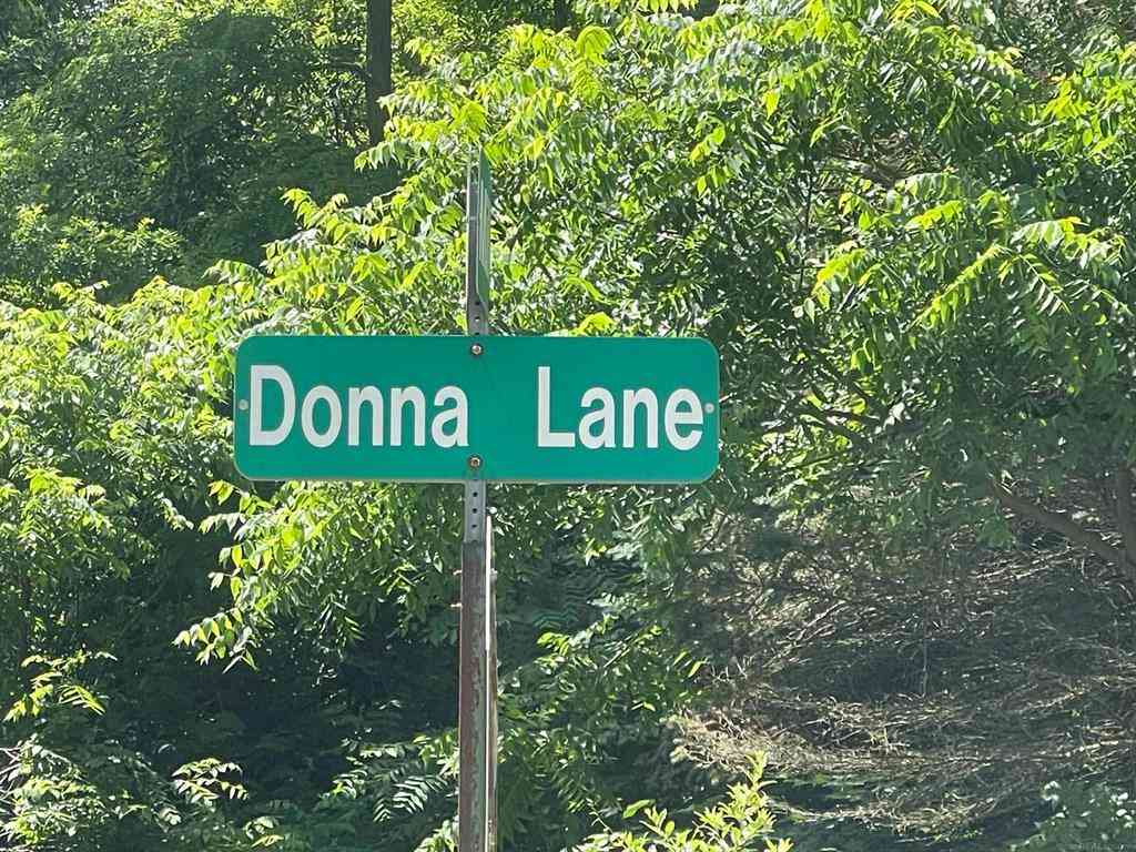 Vacant Land For Sale - Donna Lane <br/> Dryden, MI 48428