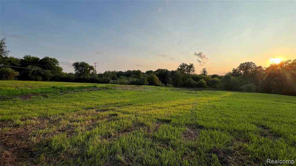 Vacant Land For Sale - 11111 Brewer Rd  <br/> Addison, MI 48367