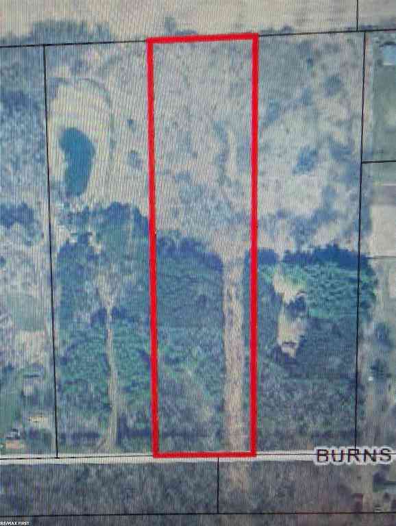 Vacant Land For Sale - Burns Line Road <br/> Croswell, MI 48422