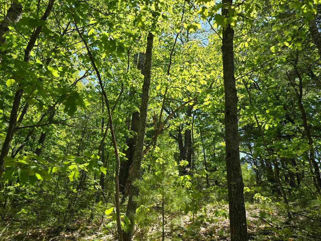 Vacant Land For Sale - 00 E Long Lake Road <br/> Wexford County, Cadillac, MI 49601