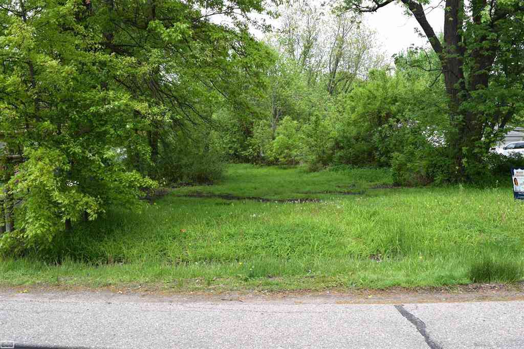Vacant Land For Sale - 38199 Murdicks Drive <br/> Macomb County, New Baltimore, MI 48047