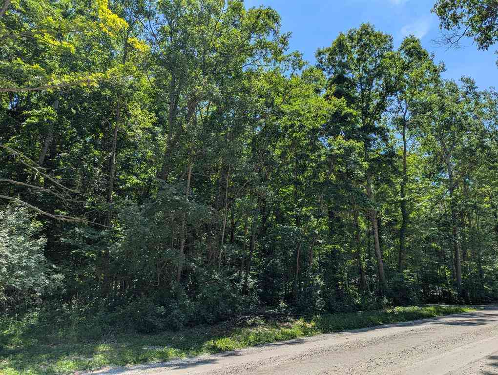 Vacant Land For Sale - 15320 Larsen Avenue Ne NE<br/> Kent County, Gowen, MI 49326