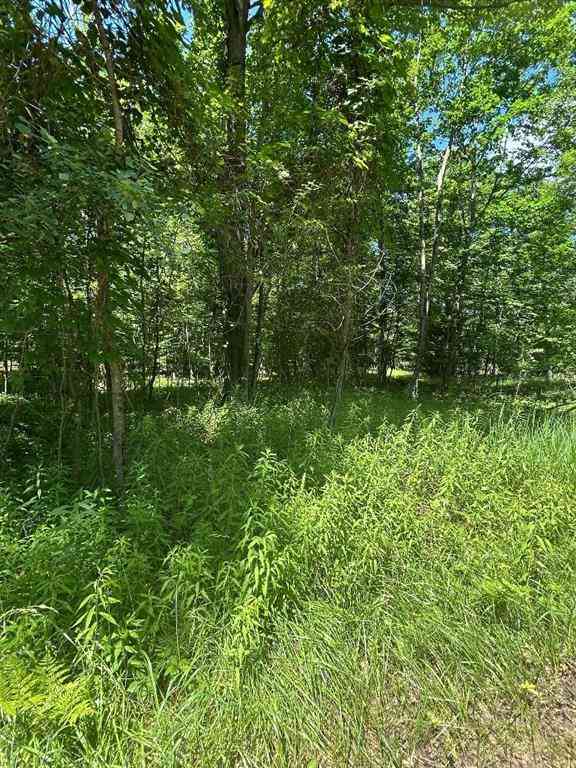 Vacant Land For Sale - S Point Lookout Road <br/> Au Gres, MI 48703