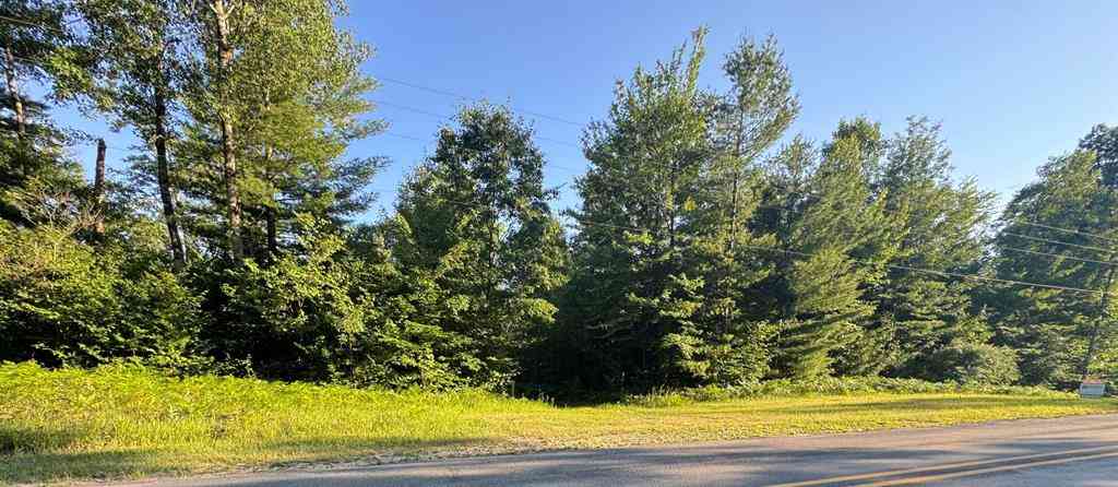 Vacant Land For Sale - E 8 Mile Road <br/> Luther, MI 49656