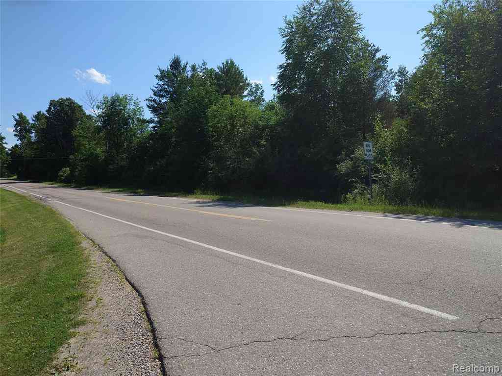 Vacant Land For Sale - PARCEL A Fish Lake Road <br/> Lapeer, MI 48446