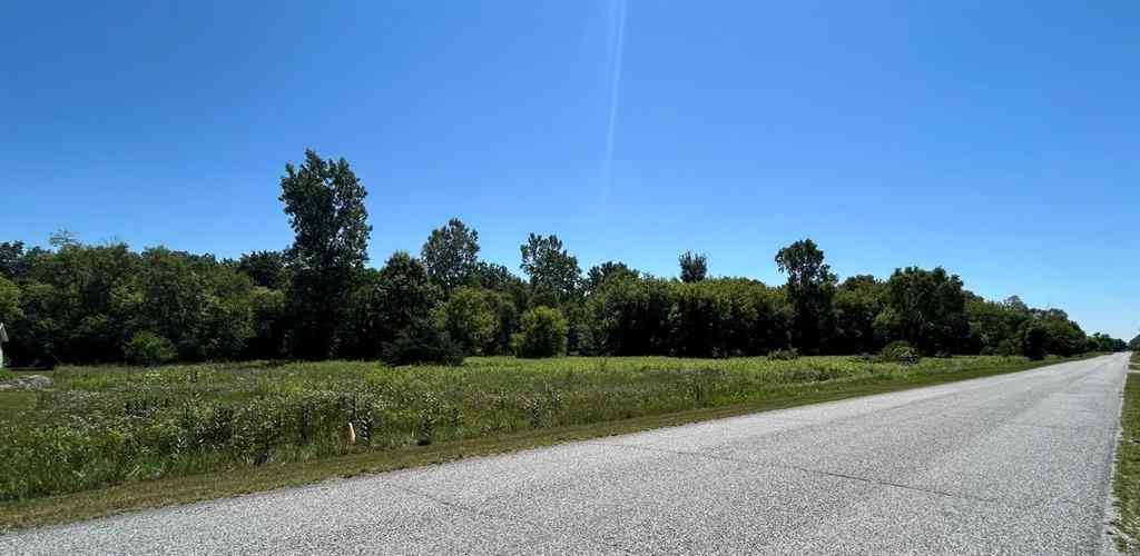 Vacant Land For Sale - 15581 Sruart Road <br/> Saginaw County, Chesaning, MI 48616