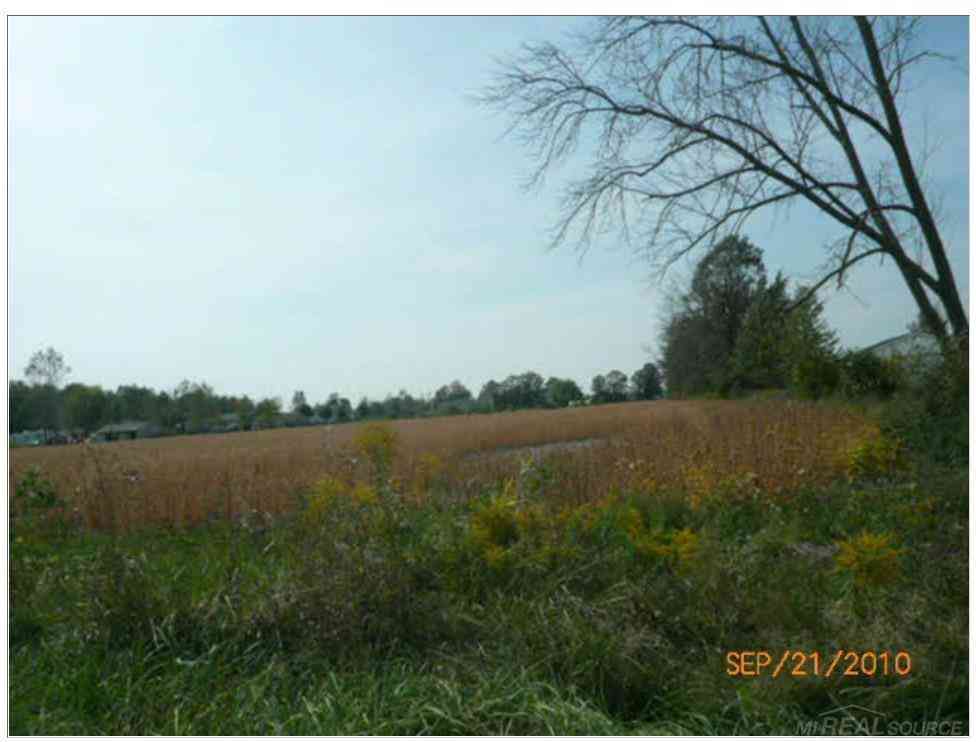 Vacant Land For Sale - 79379 Cryderman Road <br/> Macomb County, Richmond, MI 48062