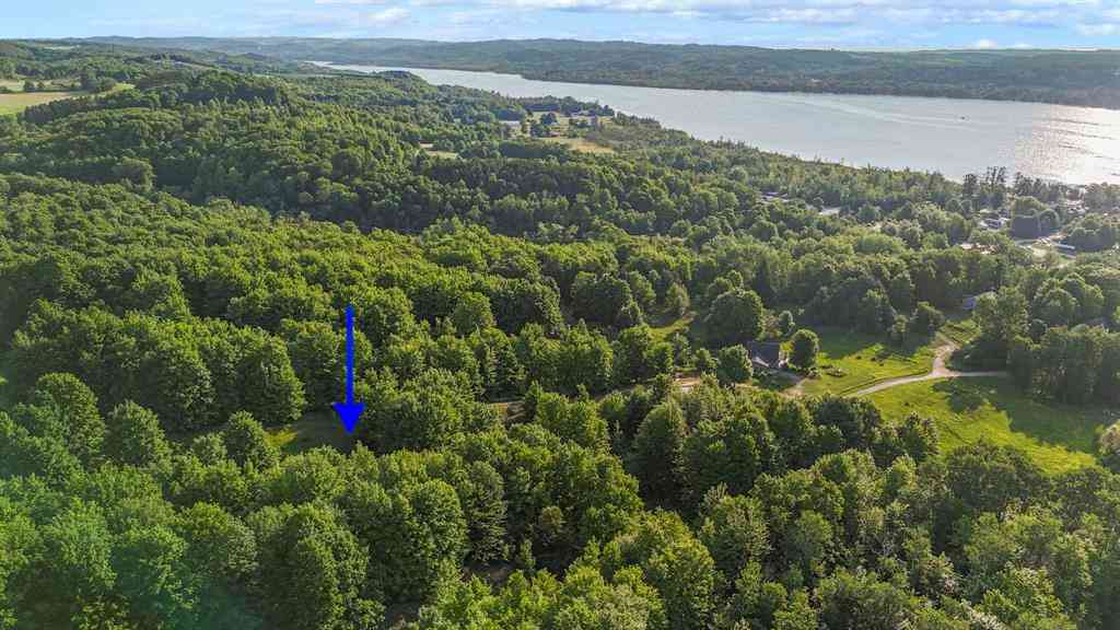 Vacant Land For Sale - 6244 E Pine Knobb Drive <br/> Lake Leelanau, MI 49653