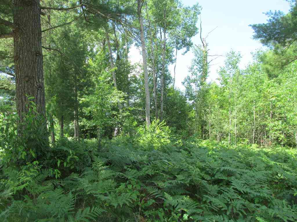 Vacant Land For Sale - LOT 63 White Pine Drive <br/> Wexford County, Cadillac, MI 49601