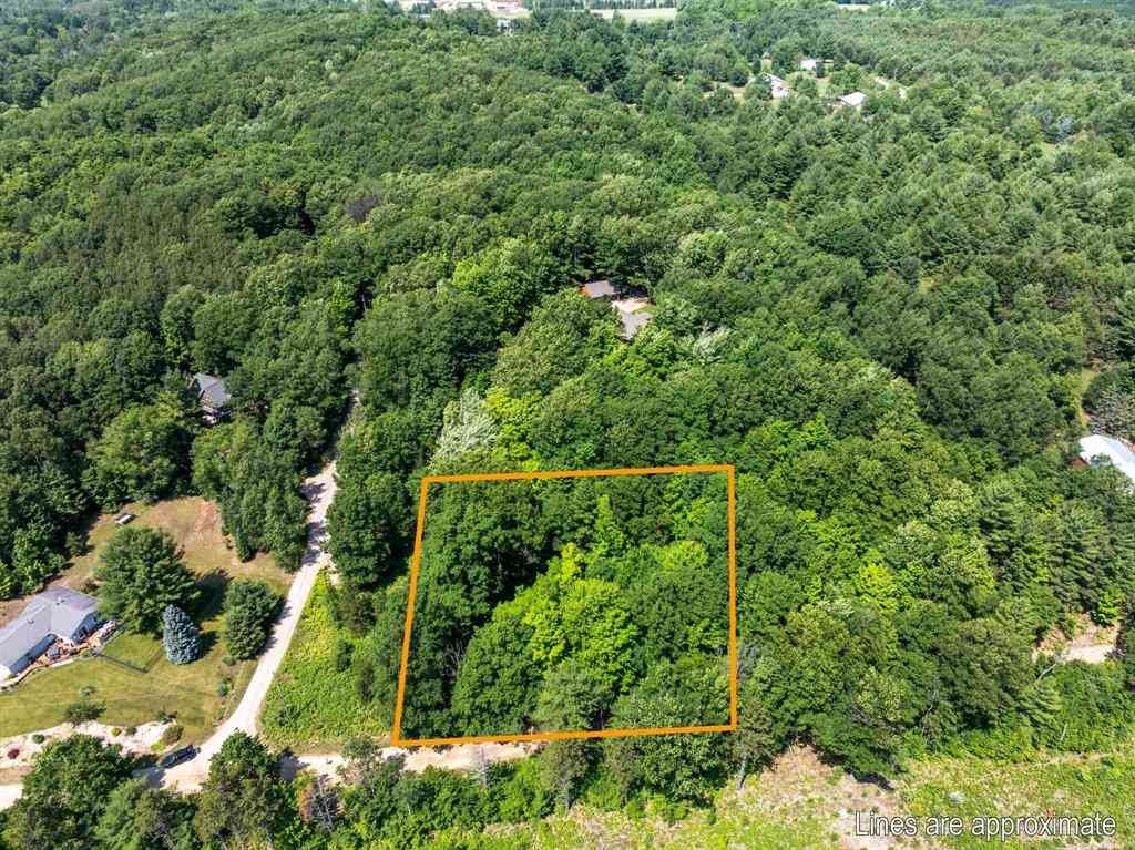 Vacant Land For Sale - O'dell Road <br/> Williamsburg, MI 49690