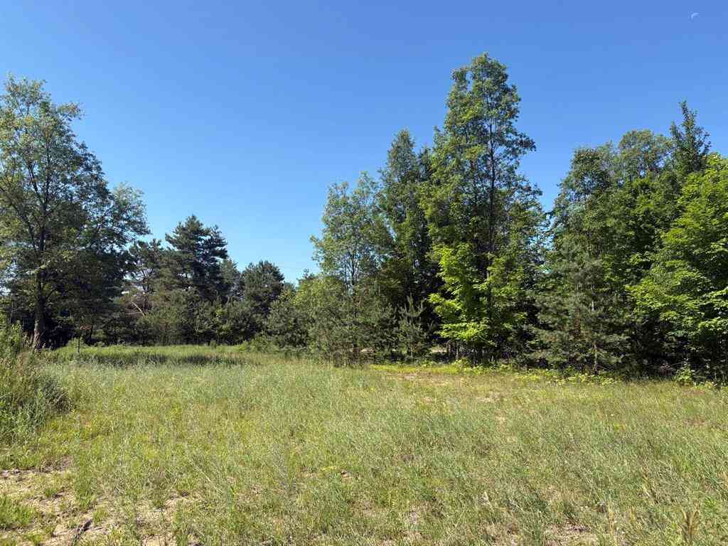 Vacant Land For Sale - 5551 N 9 Road <br/> Wexford County, Mesick, MI 49668