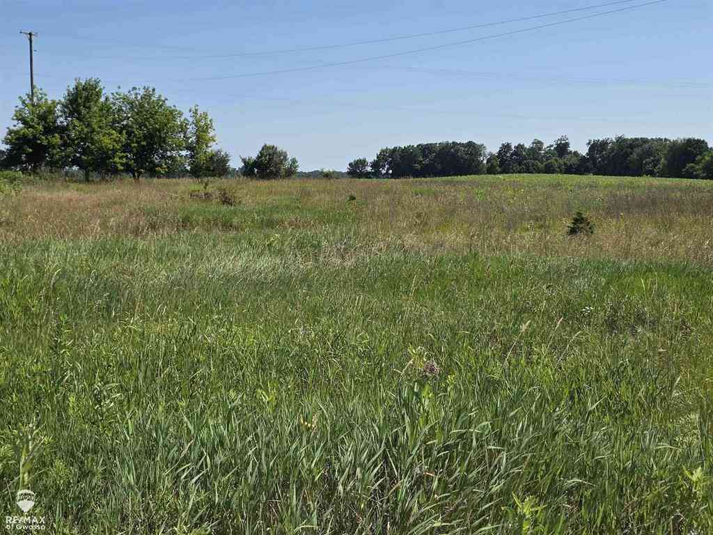 Vacant Land For Sale - Garrison Road <br/> Shiawassee County, Laingsburg, MI 48848