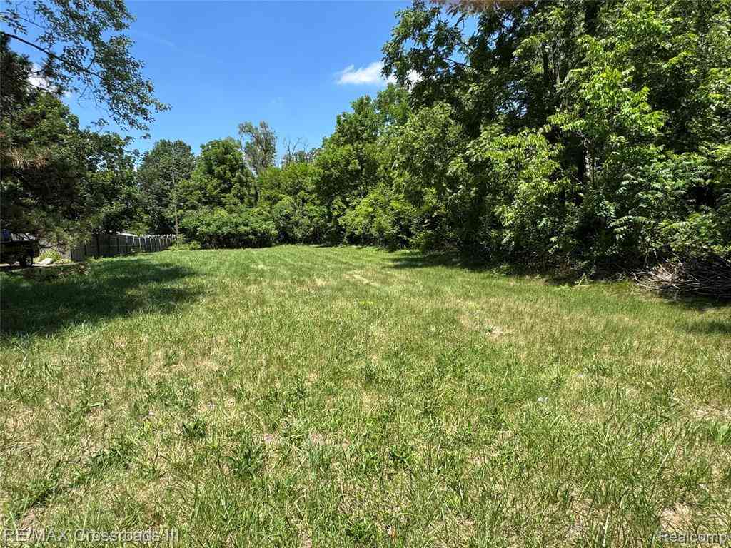 Vacant Land For Sale - 739 Savage Road <br/> Wayne County, Belleville, MI 48111