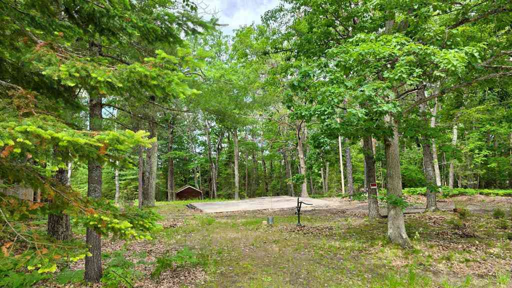 Vacant Land For Sale - 183 Eagles Nest Road <br/> Indian River, MI 49749