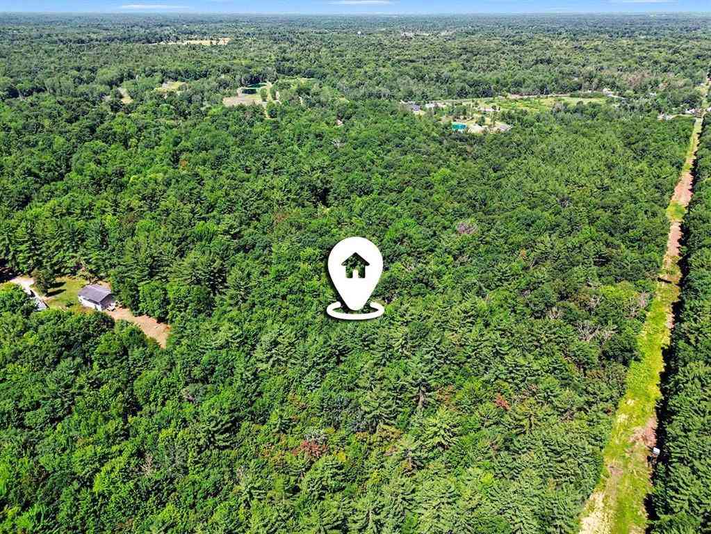 Vacant Land For Sale - 1310 W New Pine Trail <br/> Sanford, MI 48657