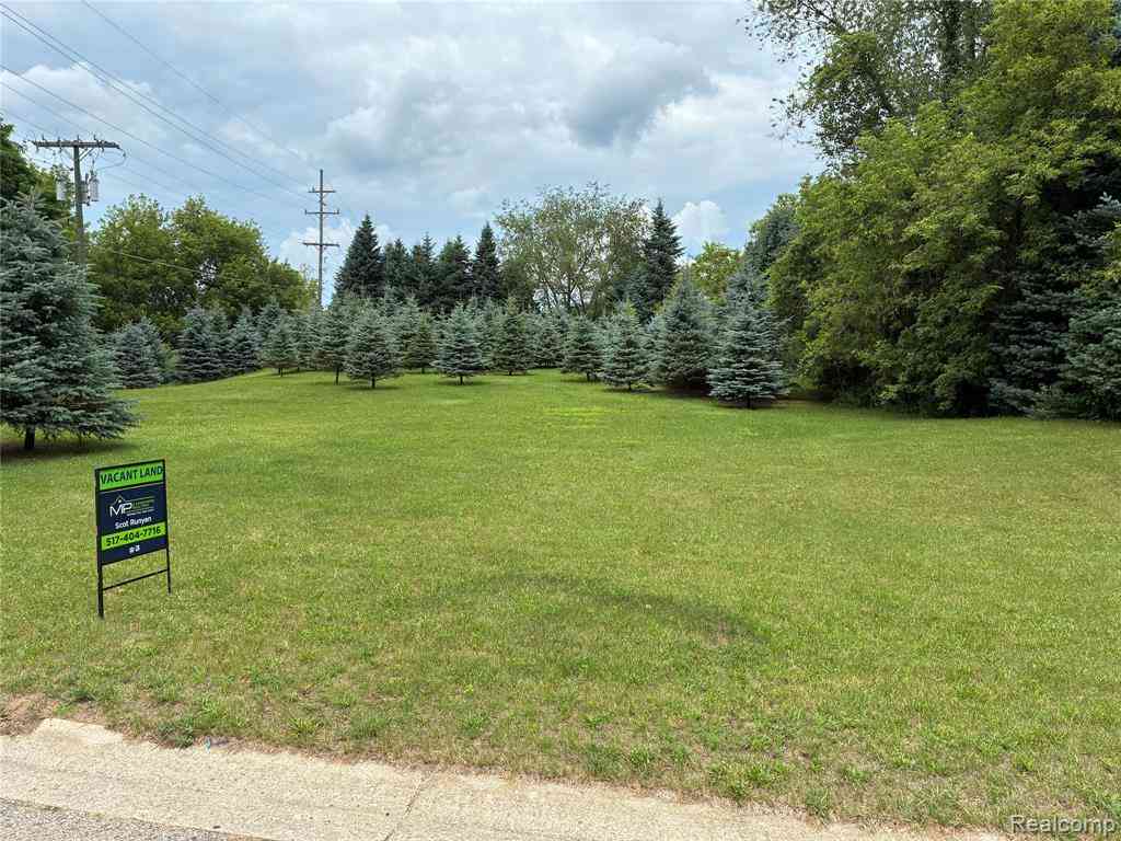 Vacant Land For Sale - Amber Glen Drive <br/> Livingston County, Howell, MI 48843