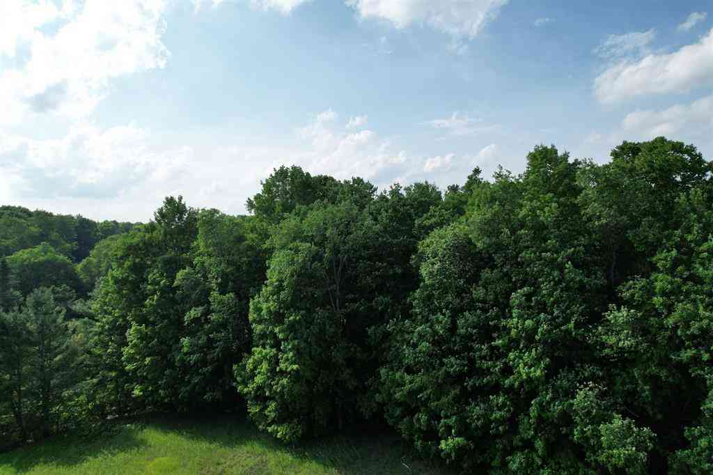 Vacant Land For Sale - 33 W 20 Road <br/> Wexford County, Mesick, MI 49668