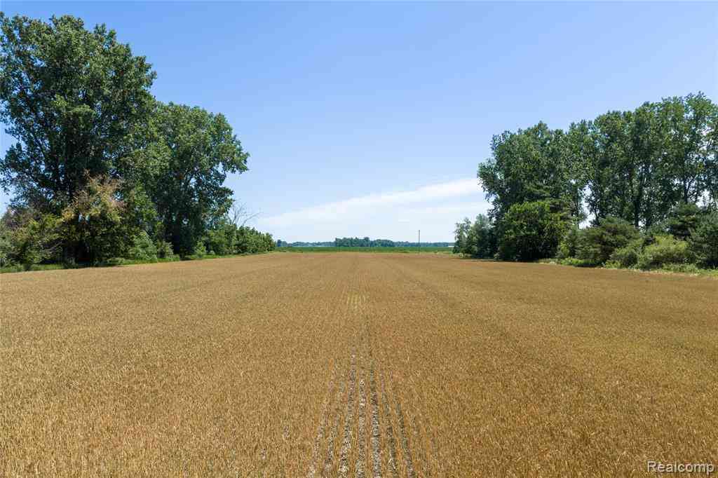 Vacant Land For Sale - PARCEL A Dodge Rd  <br/> Tuscola County, Cass City, MI 48726
