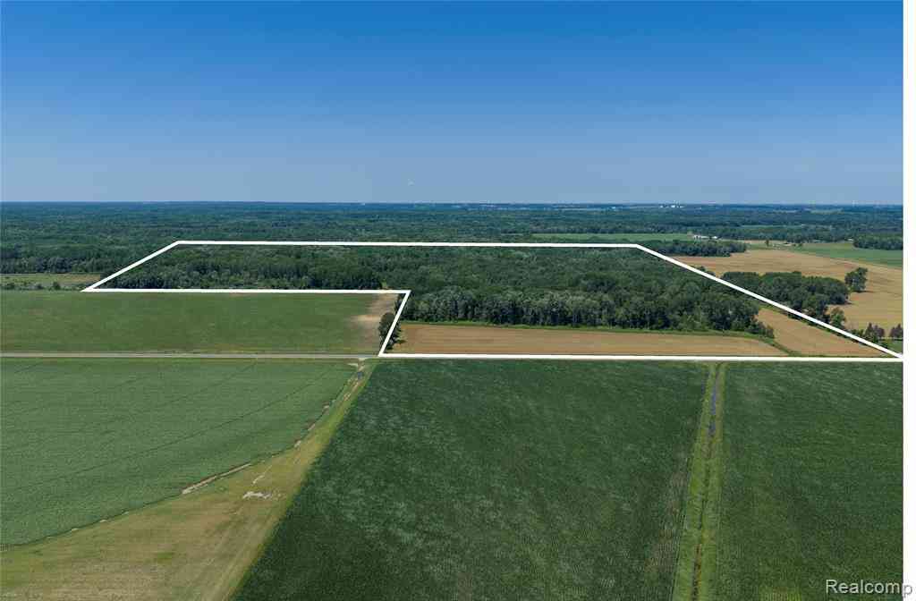 Vacant Land For Sale - 000 Dodge Rd  <br/> Tuscola County, Cass City, MI 48726