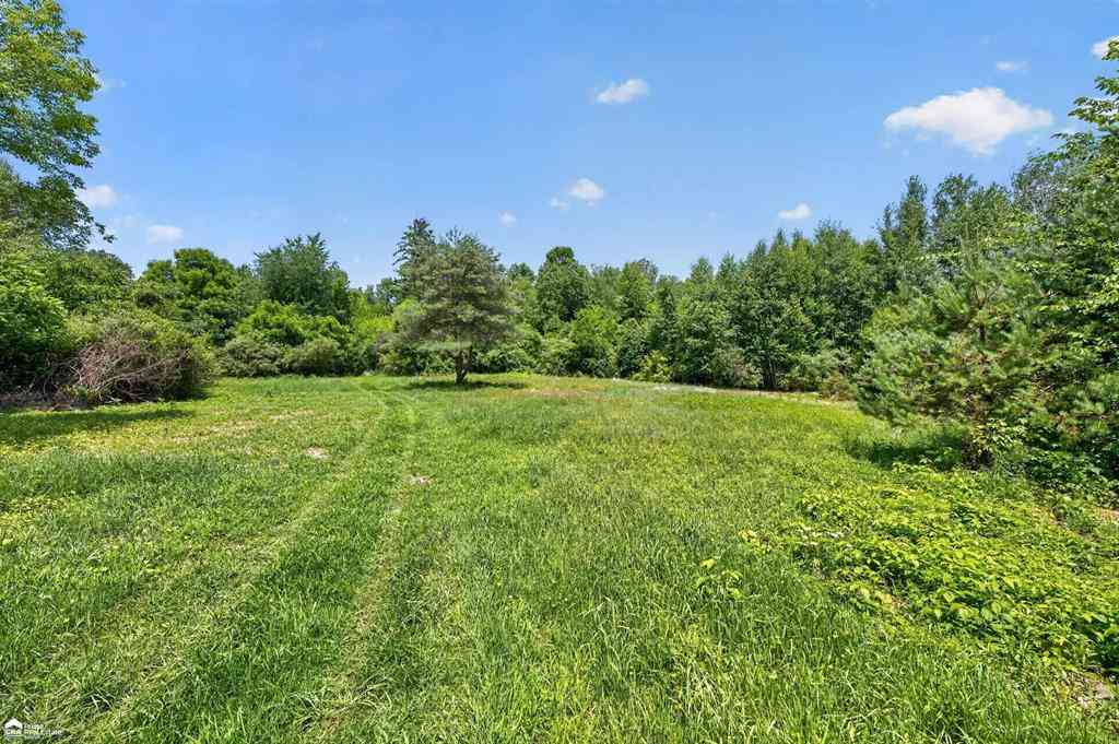 Vacant Land For Sale - 5498 Piersonville Road <br/> Lapeer County, Columbiaville, MI 48421