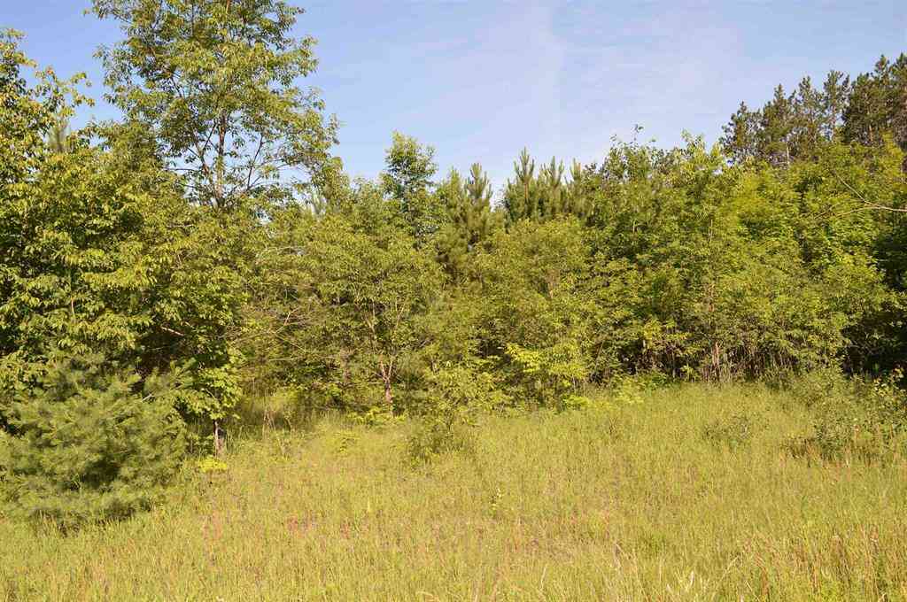 Vacant Land For Sale - NE Holly Road <br/> Kalkaska County, Kalkaska, MI 49646