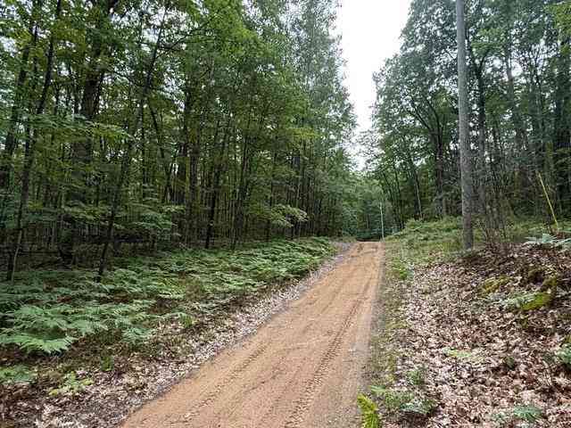 Vacant Land For Sale - V/L Beechwood Drive <br/> Roscommon County, Roscommon, MI 48653
