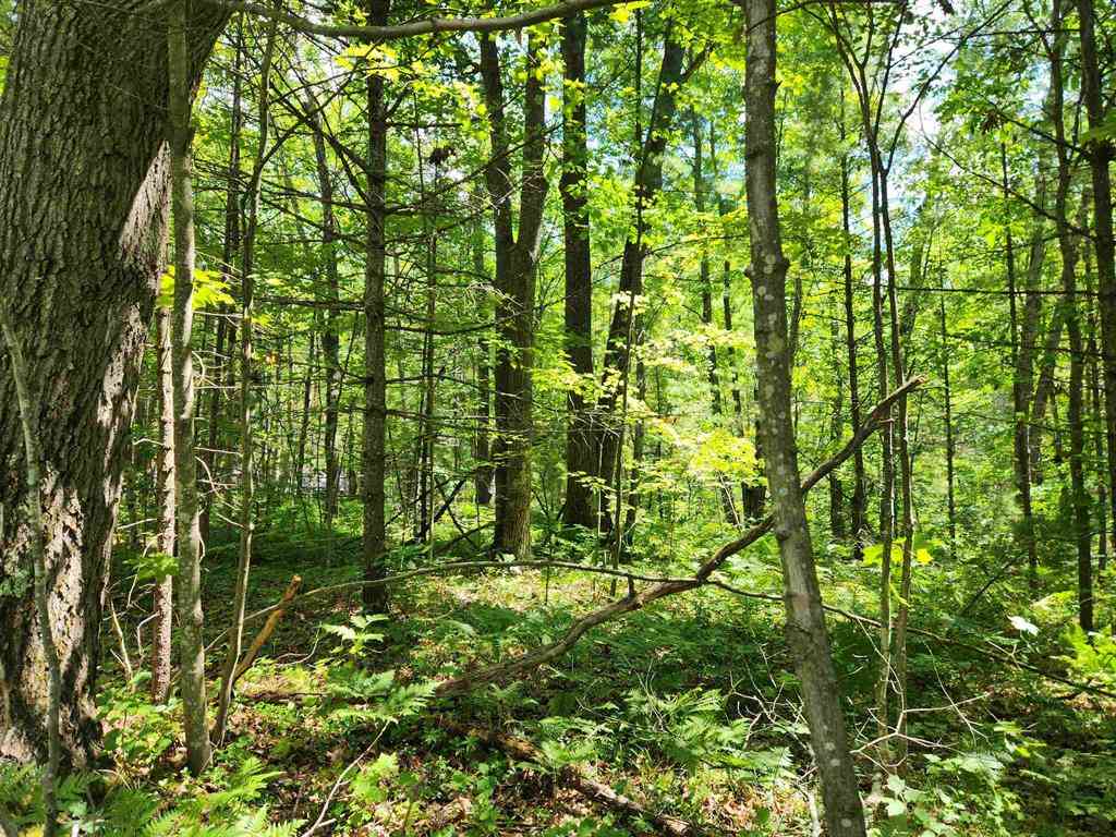 Vacant Land For Sale - 000 Bradley  <br/> Kalkaska County, Kalkaska, MI 49646