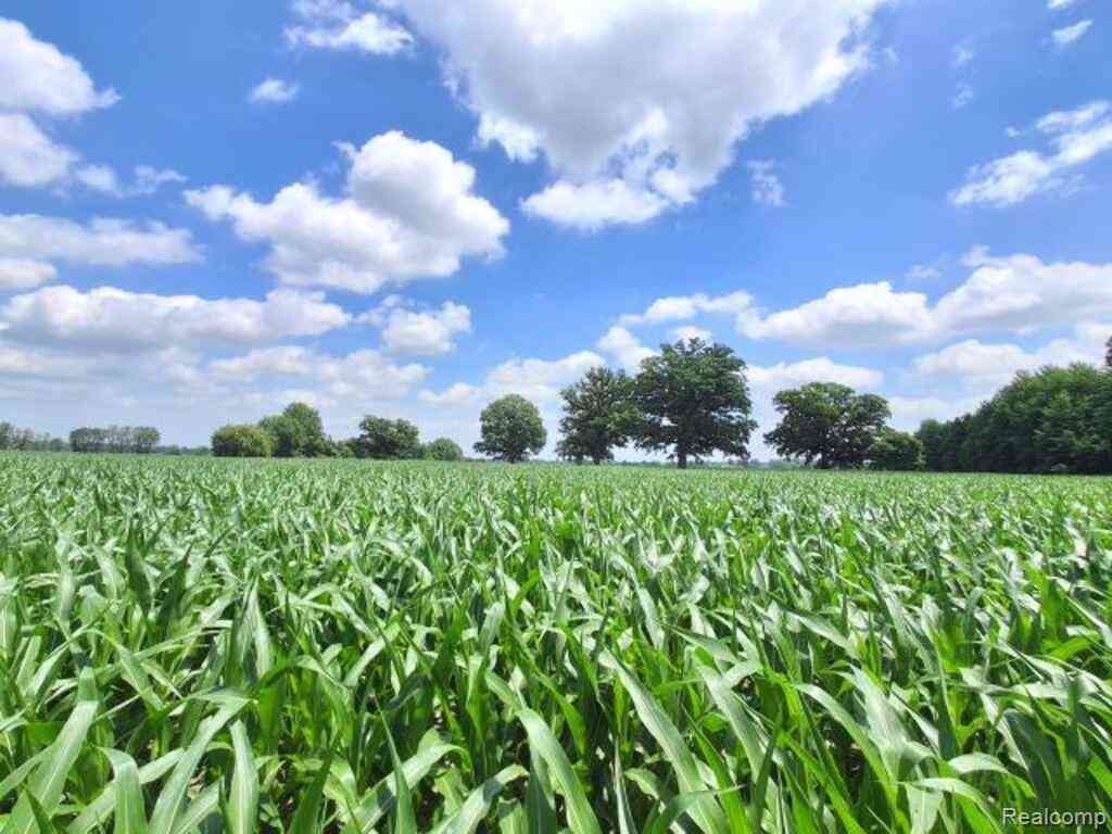Vacant Land For Sale - AUCTION LOT# 1 10 ACRES Dryden Road <br/> Saint Clair County, Capac, MI 48014