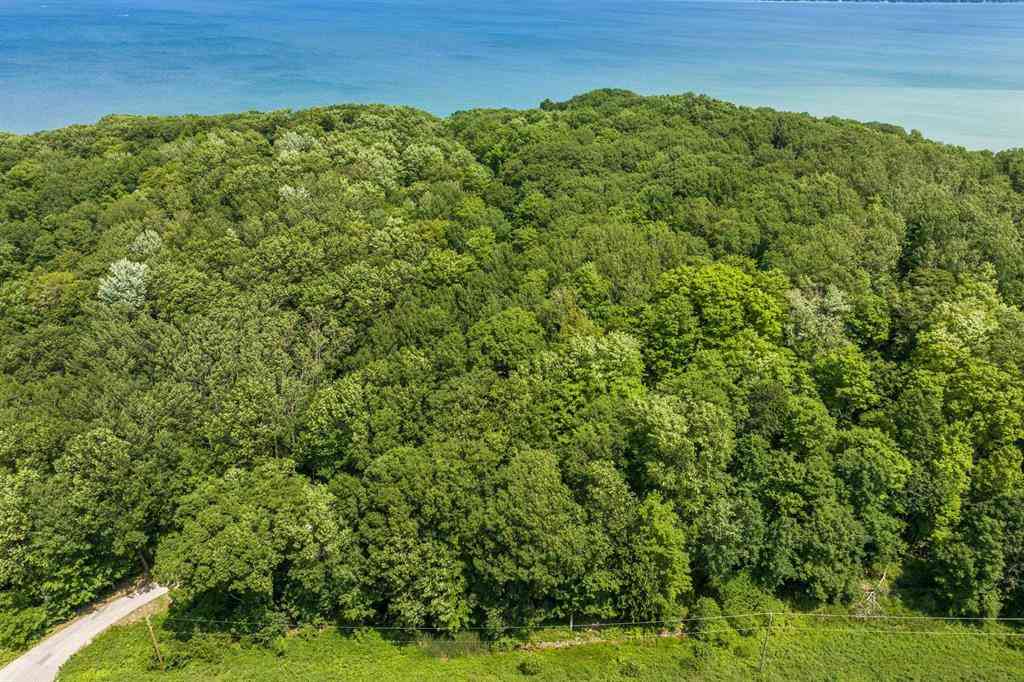 Vacant Land For Sale - Frankfort Highway <br/> Benzie County, Frankfort, MI 49635