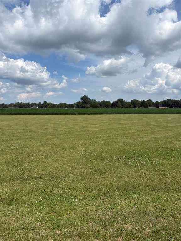 Vacant Land For Sale - 5000 Blk Ricker Lot A Highway <br/> Lenawee County, Blissfield, MI 49228