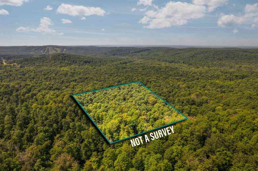 Vacant Land For Sale - Mary Dale Lane <br/> Mancelona, MI 49659