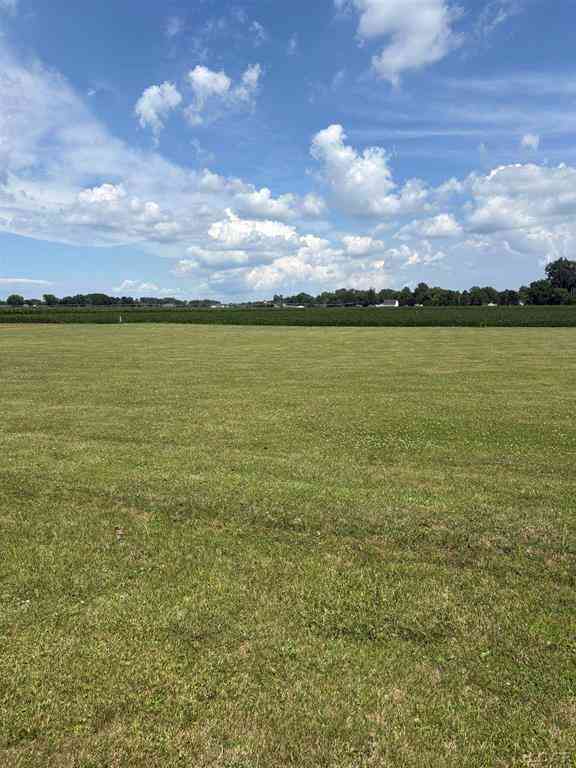 Vacant Land For Sale - 5000 Blk Ricker Lot B Highway <br/> Lenawee County, Blissfield, MI 49228