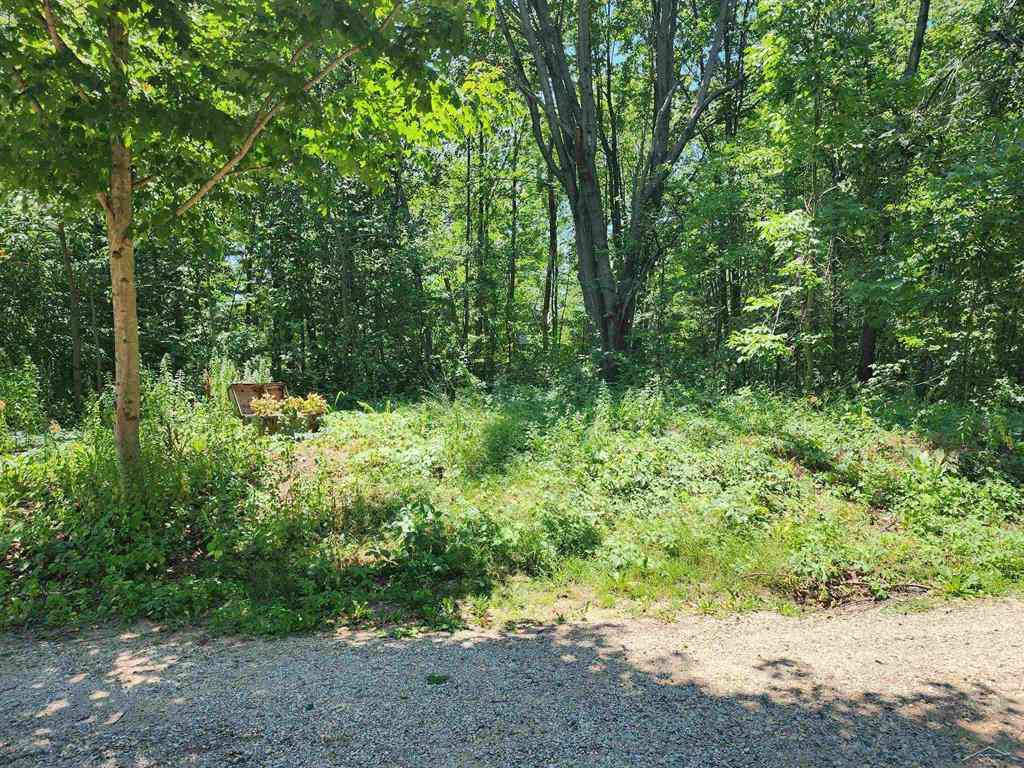 Vacant Land For Sale - 7947 Manitonka Lane <br/> Isabella County, Lake, MI 48632