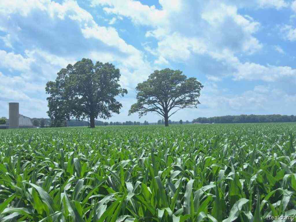 Vacant Land For Sale - AUCTION LOT # 2 10 ACRES Dryden Road <br/> Saint Clair County, Capac, MI 48014
