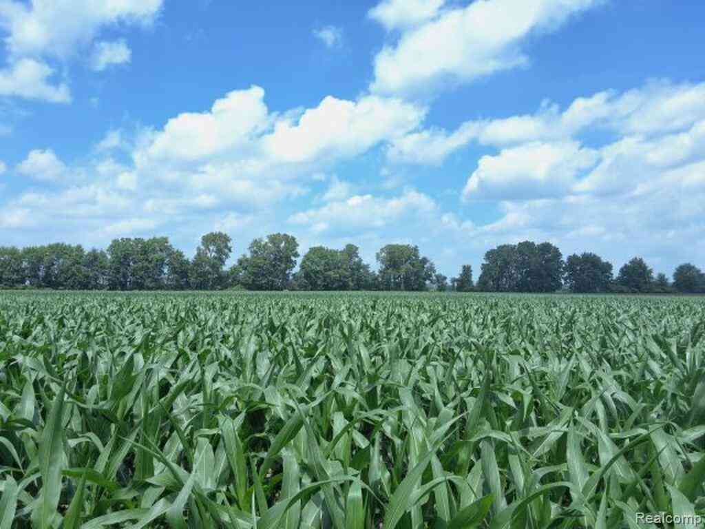Vacant Land For Sale - AUCTION LOT #3 10 ACRES Dryden Road <br/> Saint Clair County, Capac, MI 48041