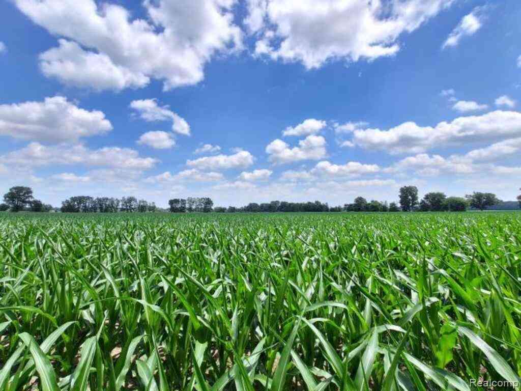 Vacant Land For Sale - AUCTION LOT# 4 10 ACRES Dryden Road <br/> Saint Clair County, Capac, MI 48014
