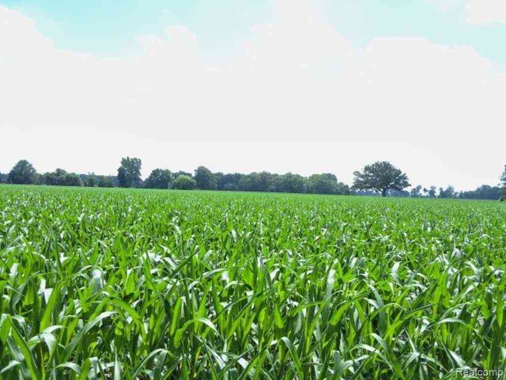 Vacant Land For Sale - AUCTION LOT# 5 33 ACRES Capac Road <br/> Saint Clair County, Capac, MI 48014